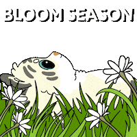 Bitcoin Spring Sticker by Ordinary Frends