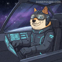 Lets Go Wow GIF by Doge Pound