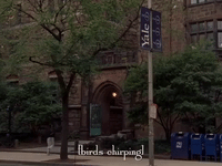 season 4 netflix GIF by Gilmore Girls 