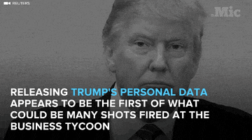 hacking donald trump GIF