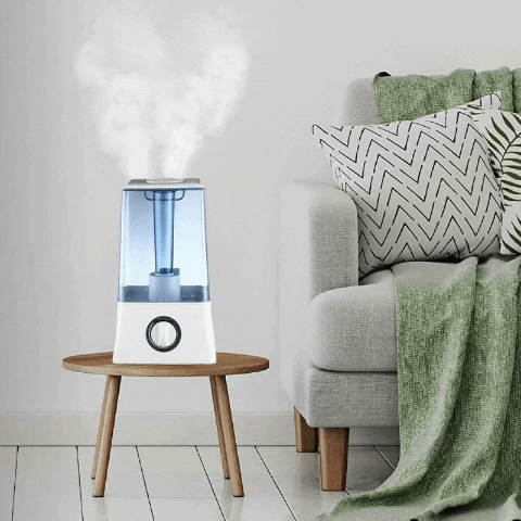 Zincera- giphygifmaker GIF
