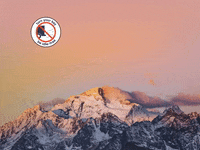 You Can Wow GIF by FranchiseONE.de