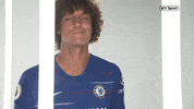 premier league celebration GIF by BT Sport