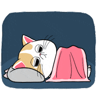 Good Night Cat Sticker by Kcomics