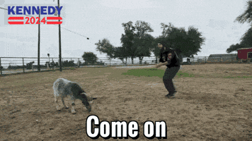 Come Lets Go GIF by Team Kennedy