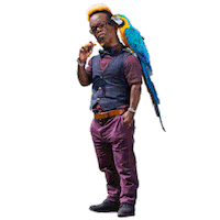 instagram parrot Sticker by vinuts