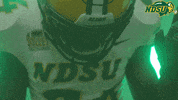 North Dakota State Point GIF by NDSU Athletics