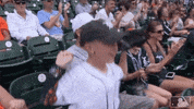 Major League Baseball Love GIF by Detroit Tigers