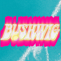 BushwigFestival gay festival lgbt nyc GIF