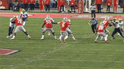 College Football GIF by Ohio State Athletics