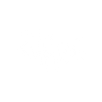 dingoribeiro betsharksbr Sticker