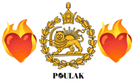 Iran Pahlavi GIF by Poulak