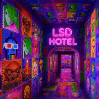 GIF by The LSD Hotel
