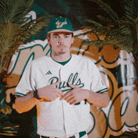 South Florida Baseball GIF by USF Athletics