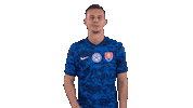 Celebration Goal Sticker by Slovensky futbalovy zvaz