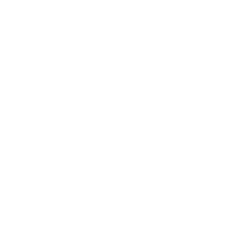 Graduation Sticker by University of South Carolina