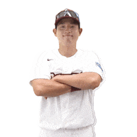 Yes Agree Sticker by Kiwoom Heroes Baseball Club