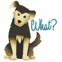 Lady And The Tramp What Sticker by Walt Disney Studios