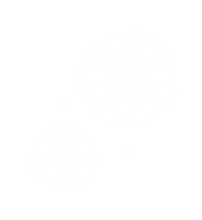 Heart Flower Sticker by Fer Almeida Designer