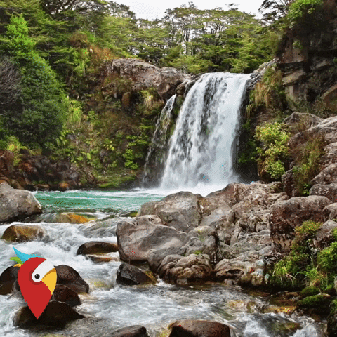 holidaypirates giphygifmaker travel adventure beautiful GIF