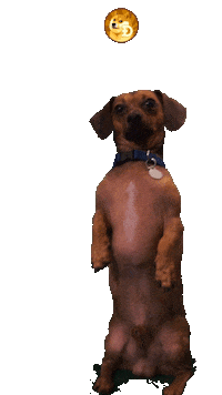 Good Boy What Sticker by Liv Margre