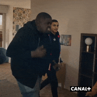 Canal Plus Fight GIF by CANAL+