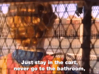 season 1 GIF