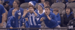 tiff yikes toronto international film festival taunt Roasted GIF