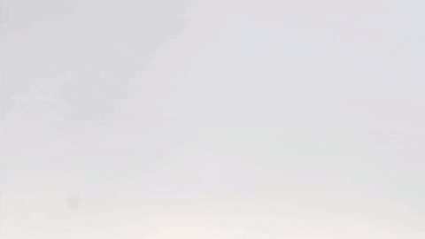 Softball Roll Pards GIF by Lafayette Leopards