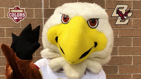 College Sports Hello GIF by College Colors Day