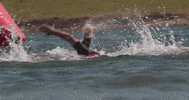ProTriathletesOrg race swimming swim triathlon GIF