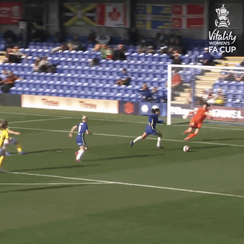 Drew Spence Chelsea GIF by FA Women's Championship