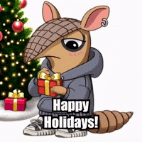 Christmas Happy Holidays GIF by Chillo Dillo