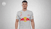 Football Sport GIF by FC Red Bull Salzburg