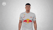 Football Sport GIF by FC Red Bull Salzburg