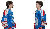Hockey Handshake Sticker by Newcastle Northstars