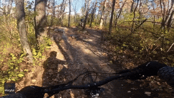 Cyclist Has Close Call With Deer on Mountain Bike Trail
