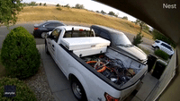 Nest Camera Captures Moment Colorado DoorDash Driver's Car Rolls Away