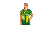 Liga Nos Sticker by CD Tondela