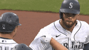 High Five Baseball GIF by MLB