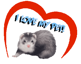 Guinea Pig Love Sticker