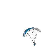 SUPAIR leaf wing paragliding parapente Sticker