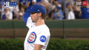 Chicago Cubs Baseball GIF