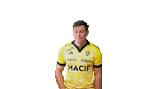 Sport Celebration Sticker by Stade Rochelais