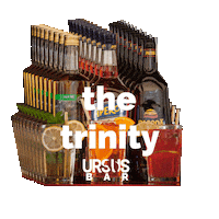 Hugo Trinity Sticker by ursus adventures