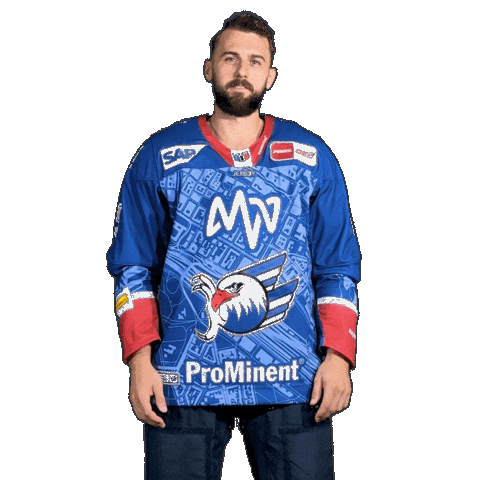 Fohrler Sticker by Adler Mannheim