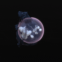 animation art GIF by Alastair Gray