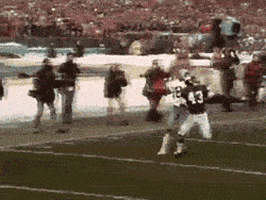 bradh65 giphyupload GIF