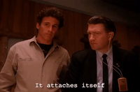 season 2 episode 6 GIF by Twin Peaks on Showtime