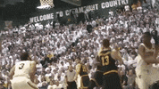 Basketball Ncaa GIF by University of Vermont